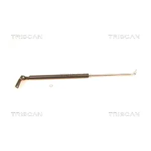424003 TRISCAN