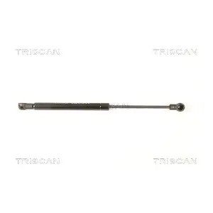 438036 TRISCAN