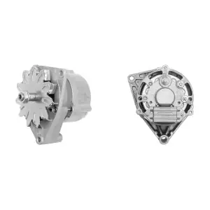 MG195 MAHLE