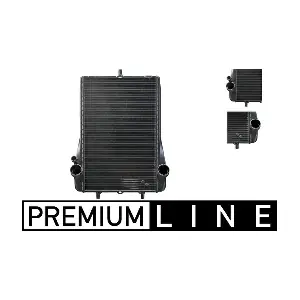 CR1396000P MAHLE