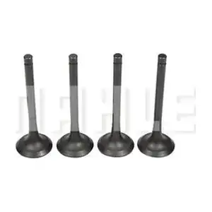 VE0630241 MAHLE