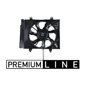 CFF221000P MAHLE