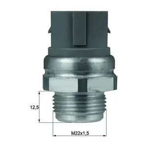 TSW 48D MAHLE