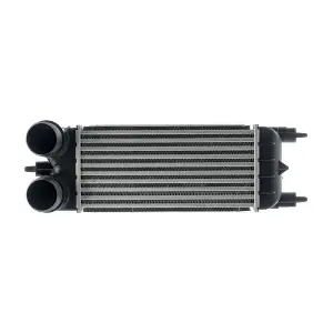 CI 525 000P MAHLE