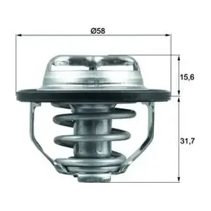 TX 122 82 MAHLE