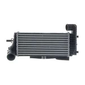CI 245 000S MAHLE