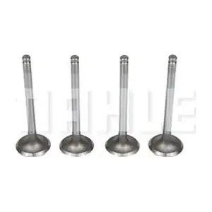 VA0250060 MAHLE