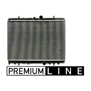 CR 31 000P MAHLE