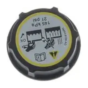 CRB 100 000S MAHLE