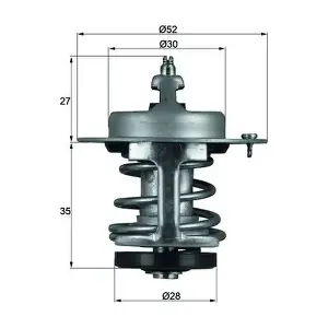 TX 69 79 MAHLE