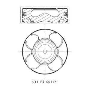 MAHLE 011 PI 00117 001