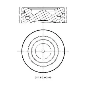 007 PI 00102 000 MAHLE