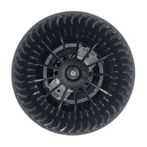 AB241000P MAHLE