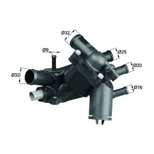 TM5109 MAHLE