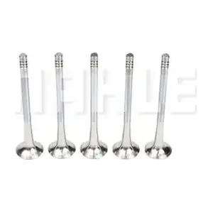 VE0250161 MAHLE