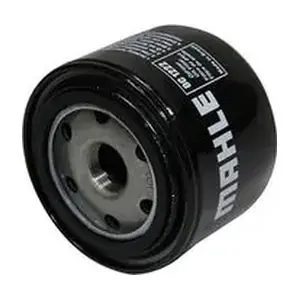OC1222 MAHLE