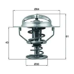 TX17878D MAHLE
