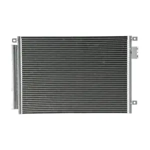 AC 787 000P MAHLE