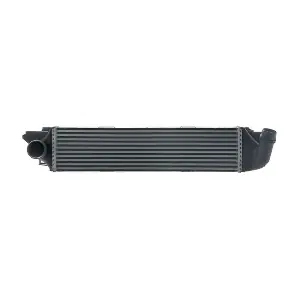 CI31000S MAHLE