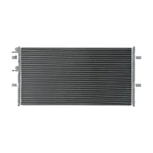 AC 695 000S MAHLE