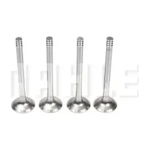 VE0700081 MAHLE
