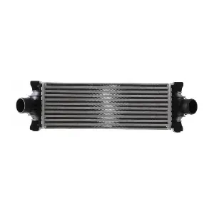 CI391000S MAHLE