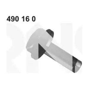 490160 ERNST