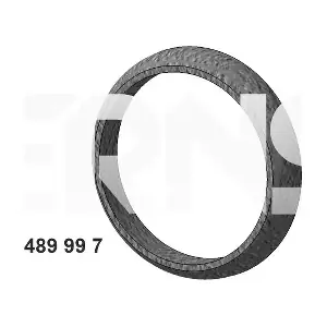 489997 ERNST