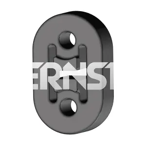 493 08 6 ERNST