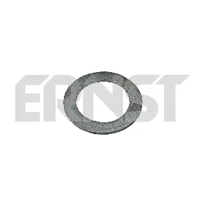 490054 ERNST