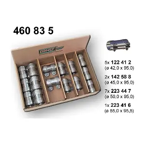 460835 ERNST