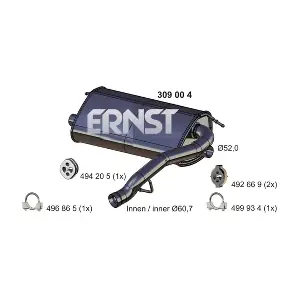 309004 ERNST