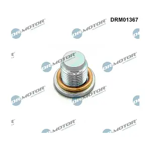 DRM01367 LIZARTE