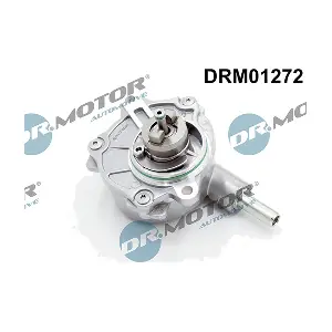 DRM01272 LIZARTE