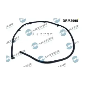 DRM2005 LIZARTE