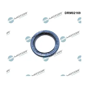 DRM02169 LIZARTE