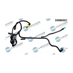 DRM6501 LIZARTE