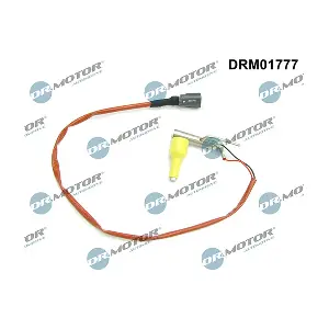 DRM01777 LIZARTE