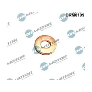 DRM0199 LIZARTE