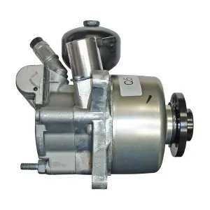 54581 LIZARTE