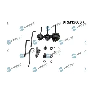 DRM12808R LIZARTE