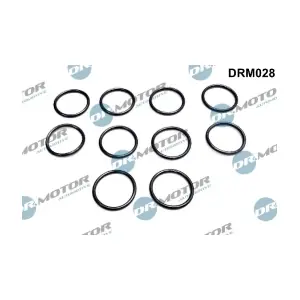DRM028 LIZARTE