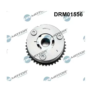 DRM01556 LIZARTE