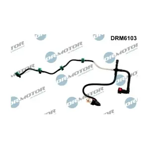 DRM6103 LIZARTE