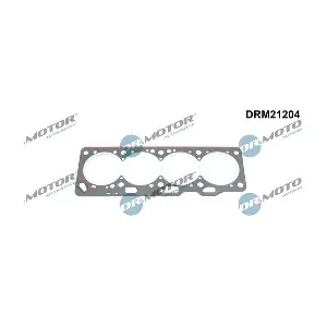 DRM21204 LIZARTE