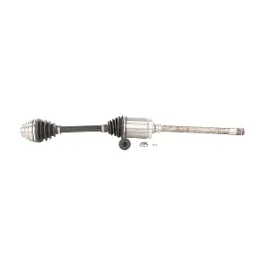 B1265 LIZARTE