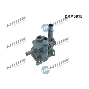 DRM0815 LIZARTE