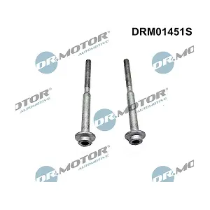 DRM01451S LIZARTE