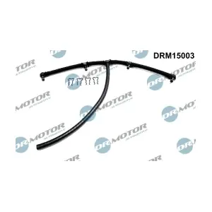 DRM15003 LIZARTE