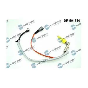 DRM01780 LIZARTE